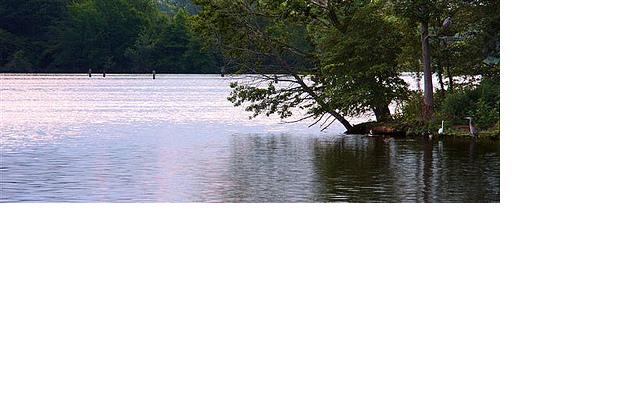 flood.jpg